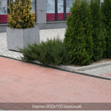 Тротуарна плитка Цегла 200х100 h100. Золотий Мандарин