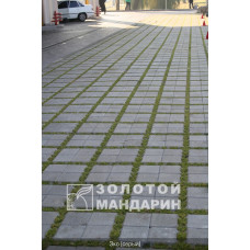 Тротуарна плитка Решітка Еко. Золотий Мандарин