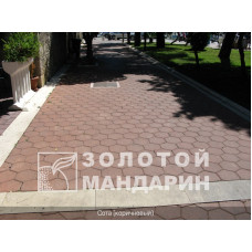 Тротуарна плитка Сота. Золотий Мандарин